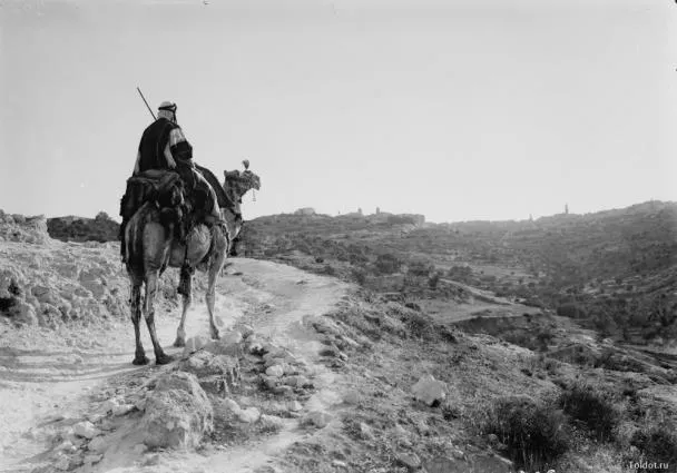 Легенда о Нафталане и верблюде | История курорта Нафталан